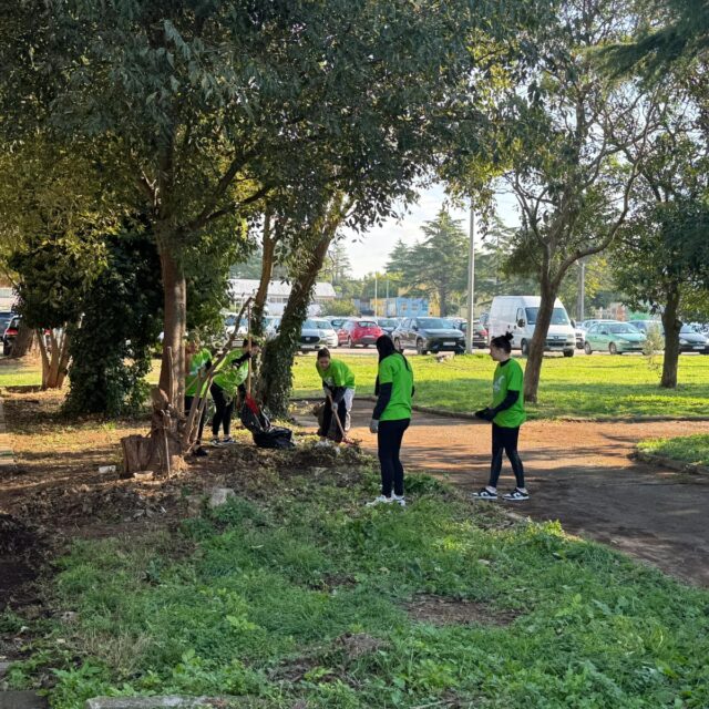 WhatsApp Slika 2025-10-20 u 13.54.36_64717be3 WhatsApp Slika 2025-10-20 u 13.54.36_64717be3